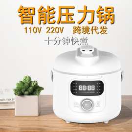 110v高压锅